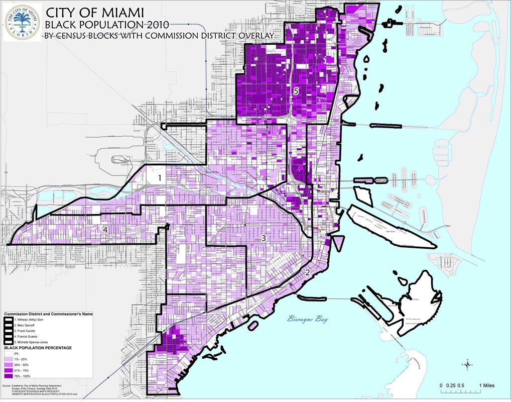 Population Distribution CITY OF MIAMI